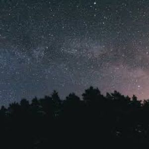 Meet your Posher, Rickardo